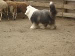 DSC02051.JPG