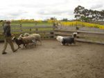 DSC02052.JPG