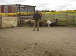 DSC02054.JPG