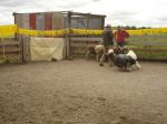 DSC02057.JPG