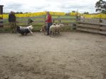 DSC02064.JPG