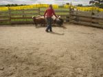 DSC02069.JPG