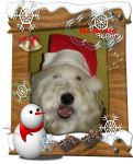 tiggychristmashead.jpg