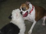 IMG_6793.JPG
