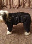 snowsuit.jpg
