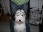 Christmas 2008 004 1.jpg