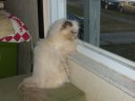 Anastasia_10102010_003.jpg.JPG