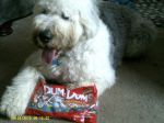 Bloo_08302012_001.jpg