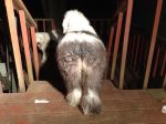 Caitlyn_02082012_001.jpg