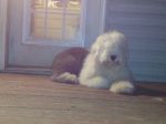 Caitlyn_02132012_001.JPG