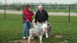 Dayton_Sheep-In_2011_012.JPG