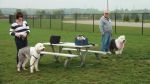 Dayton_Sheep-In_2011_019.jpg