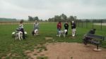 Dayton_Sheep-In_2011_030.jpg
