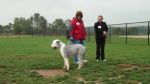 Dayton_Sheep-In_2011_032.JPG