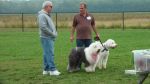 Dayton_Sheep-In_2011_044.jpg