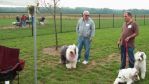 Dayton_Sheep-In_2011_058.jpg