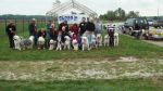 Dayton_Sheep-In_2011_065.jpg