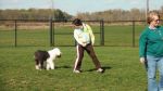 DogPark10142011_030.JPG