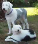 Zoey&Caitlyn_watercolor_001.jpg