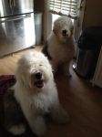 Zoey_&_Caitlyn_03012012_001.jpg