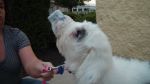 Zoey_&_Caitlyn_08132011_001.JPG