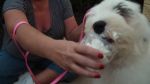 Zoey_&_Caitlyn_08132011_008.JPG