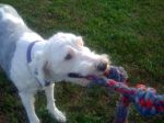 Zoey_08112011_002.jpg