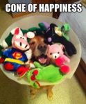 cone-of-happiness.jpg