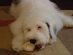 DSC00013.JPG
