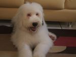 DSC00022.JPG