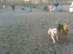 03-29-06_1755.jpg