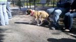 2010-10-03_13-27-00_788.jpg