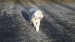 2010-11-13_14-06-21_644.jpg