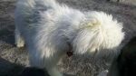 2010-11-13_14-06-48_246.jpg