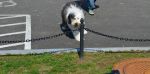 DSC_0290a.jpg