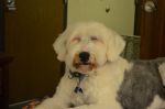 DSC_0298a~0.jpg