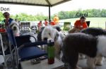 DSC_0328a.jpg