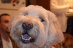 DSC_0345a.jpg