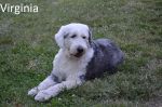 DSC_0347a~0.jpg