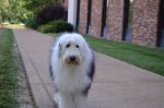 DSC_0350a.jpg