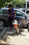 DSC_0413a.jpg