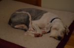 DSC_0564a.jpg