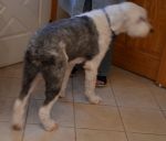 DSC_0624a.jpg