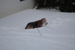 DSC_0787a.JPG