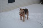 DSC_0794a.JPG