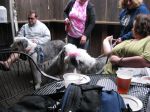 IMG_0952~0.JPG