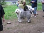 IMG_0961.JPG