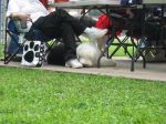 IMG_0979.JPG