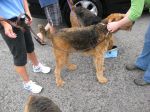 IMG_1029.JPG
