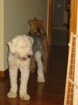 IMG_1054.JPG